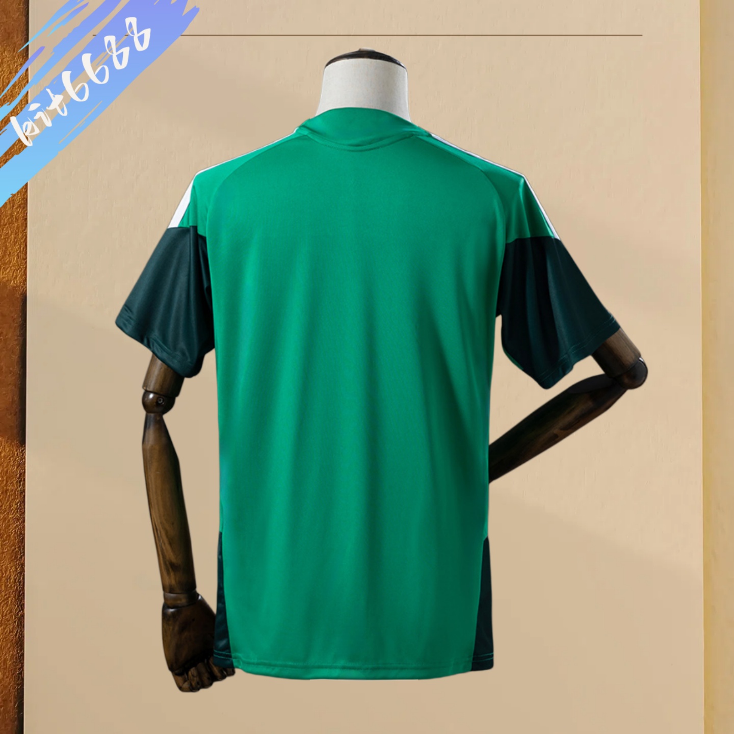 2026 Algeria Training - Green Football Shirt (Fans Edition)