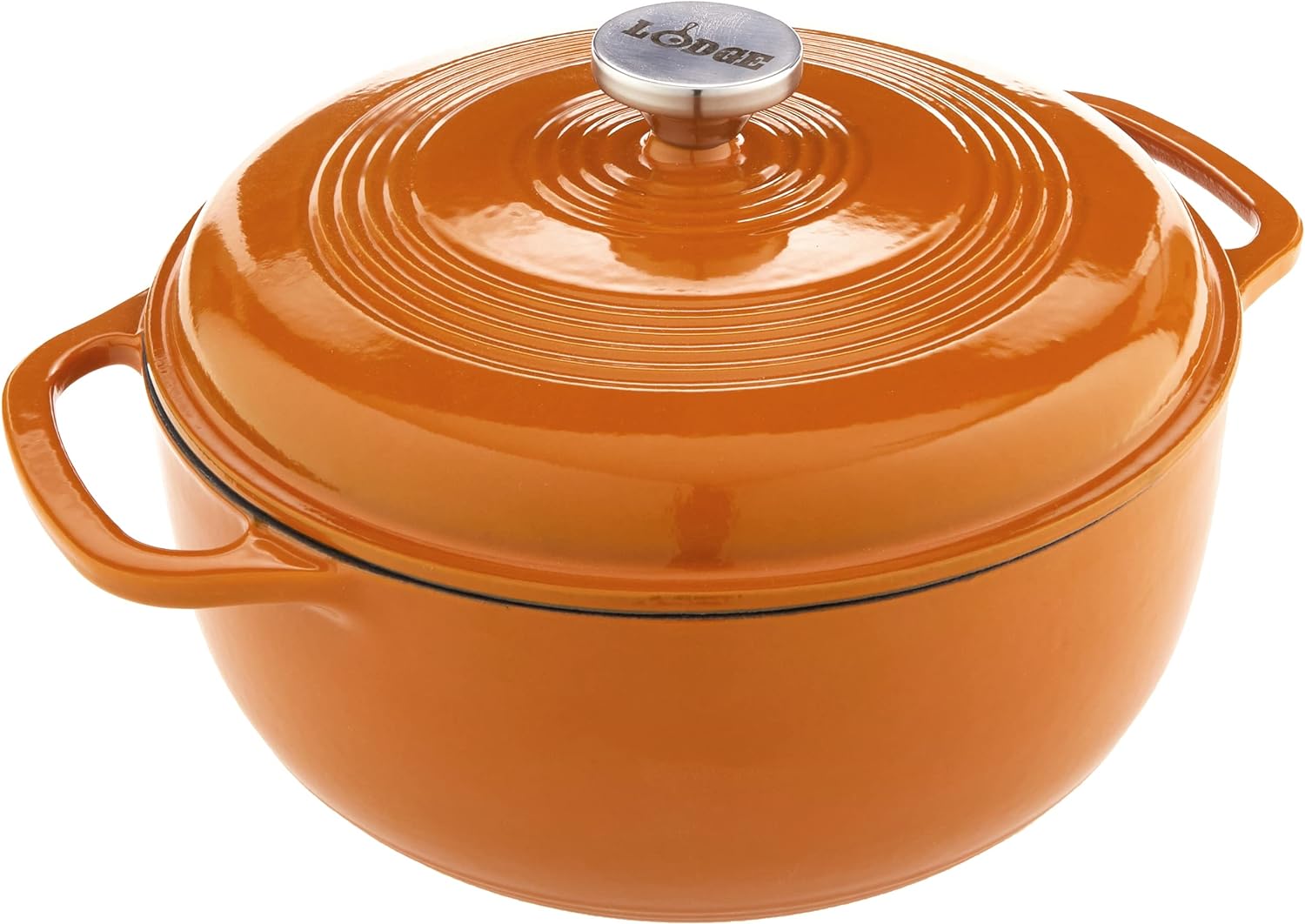 Lodge 6 Quart Enameled Cast Iron Dutch Oven with Lid – Dual Handles – Oven Safe up to 500° F or on Stovetop - Use to Marinate. Cook. Bake. Refrigerate and Serve – Indigo