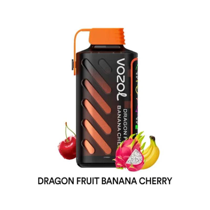 VOZOL Gear Power 20000 Rechargeable Vape (10 pieces)