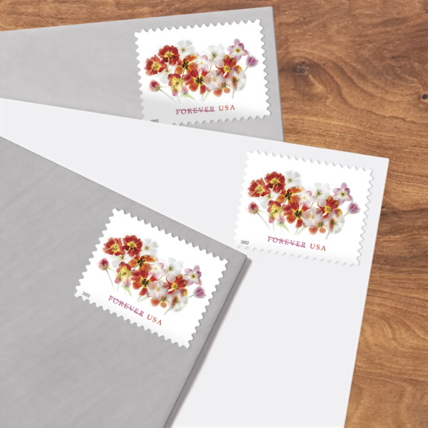 🔥(Free shipping) 2022 Tulips - 100pcs