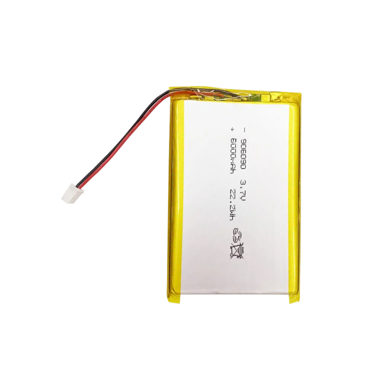 Pouch Lithium Ion Batteries 906090 3.7v6000mAh