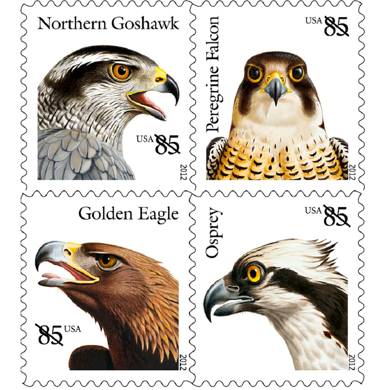 🎁[US FREE SHIPPING]Birds of Prey 2012 - 5 Sheets / 100 Pcs