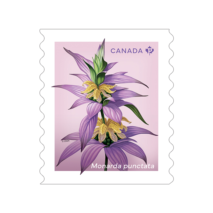 Wildflowers – Permanent™ Stamps, Coil of 50 (2 Coils Minimum)
