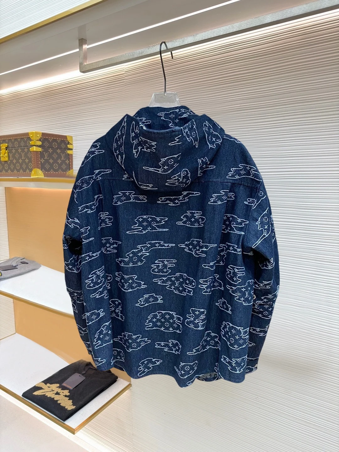Louis Vuitton 26SS Kapuze Blau Jacken OL957505