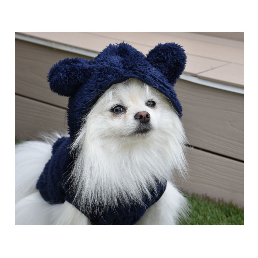 Nayeco Alaska Chaqueta Azul Marino para perros