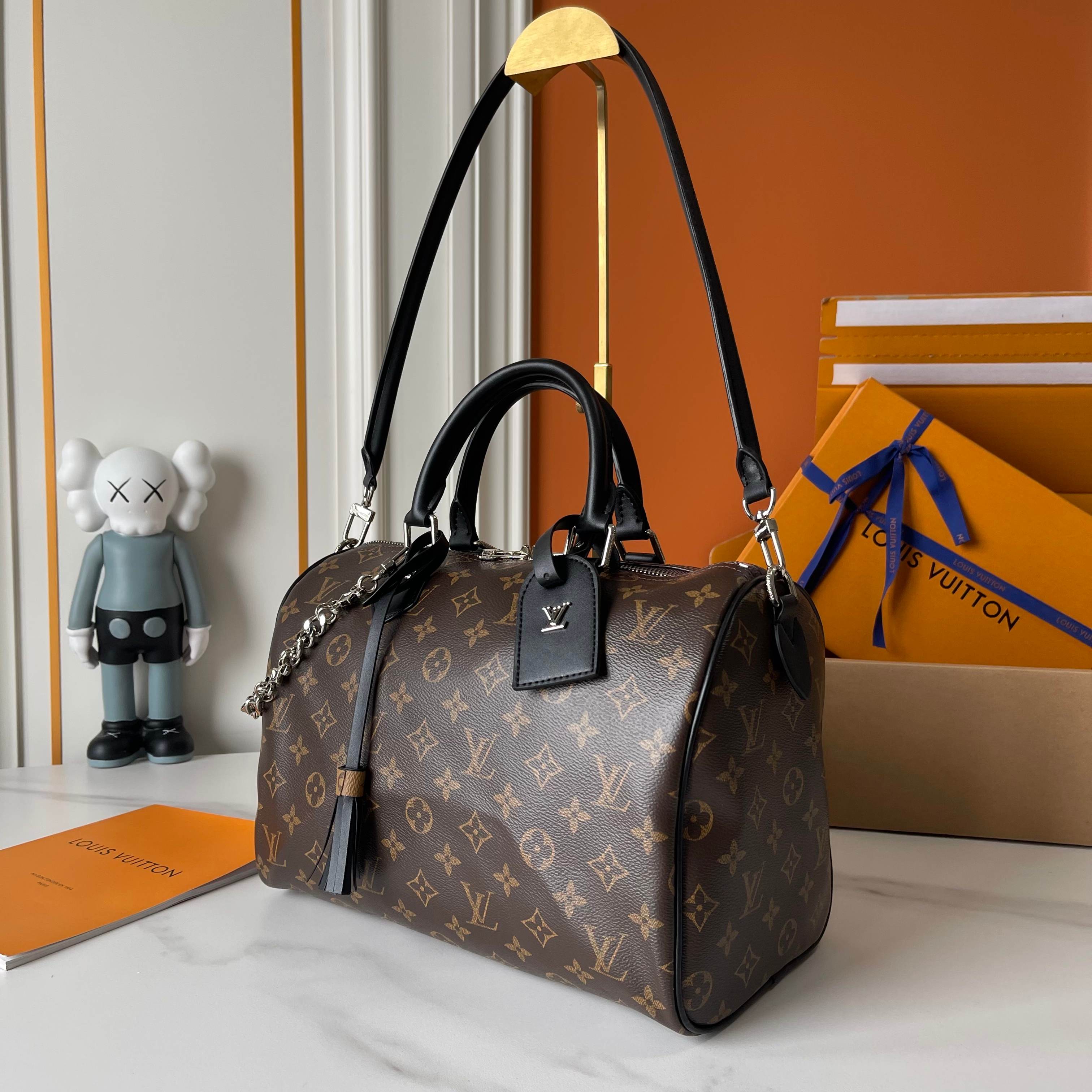 LV The Speedy Soft 30 Boho handbags