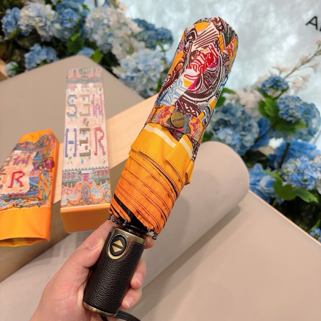 HM Umbrella 0065
