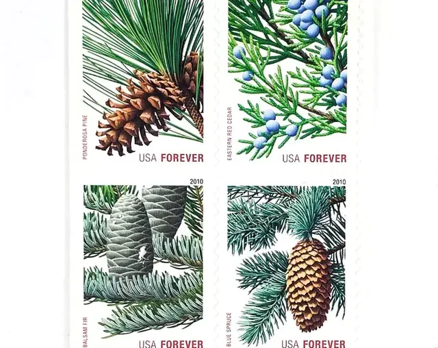 🎁[US Free Shipping]Holiday Evergreen