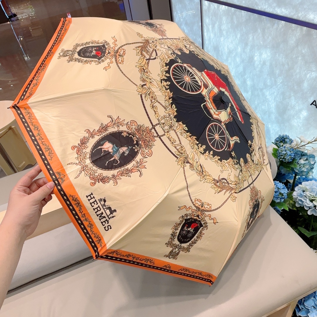HM Umbrella 0064