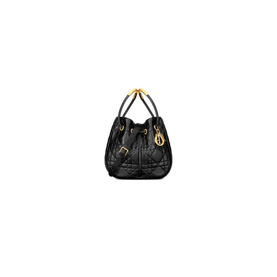 Medium Dior Nolita Bag