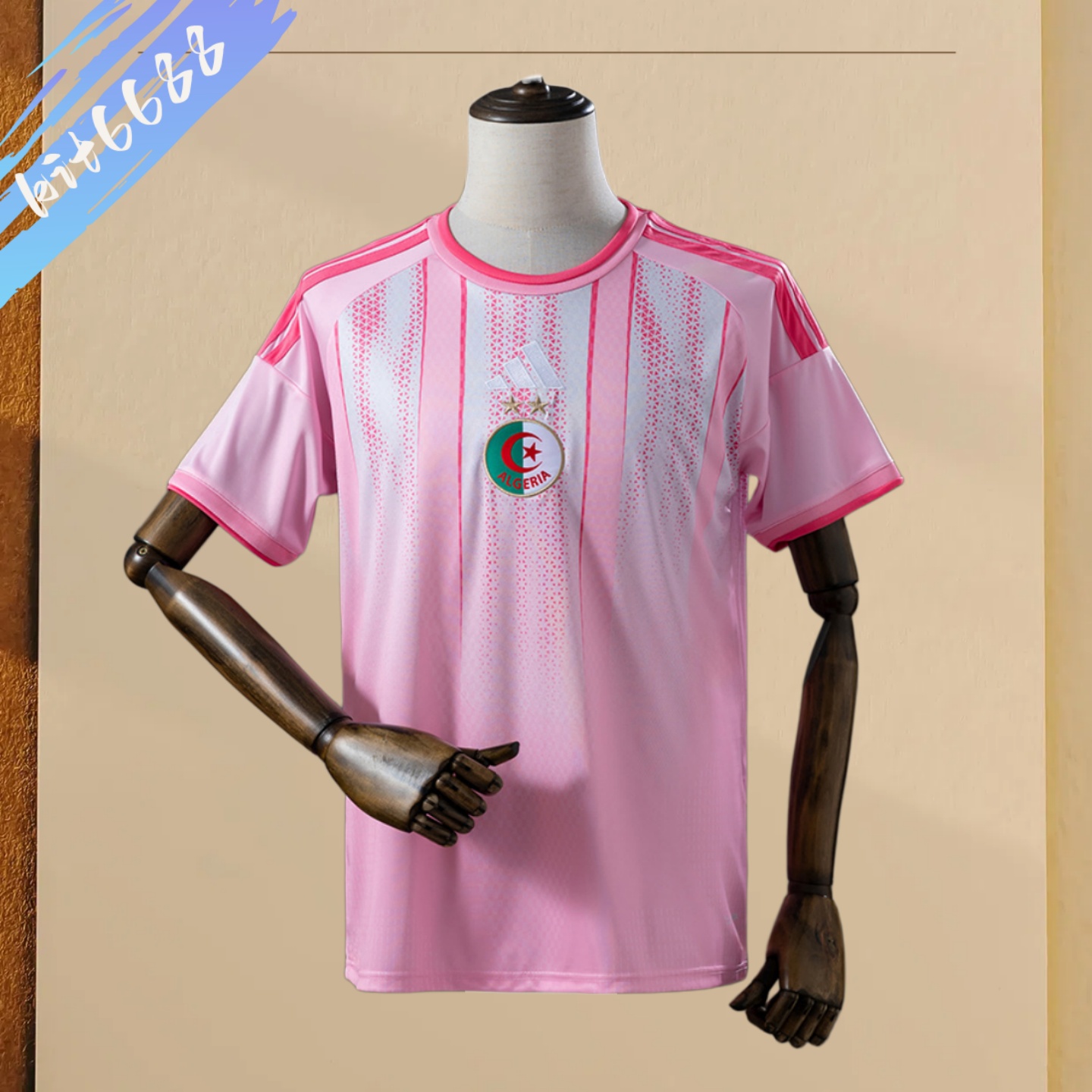 2026 Algeria TPink Football Shirt (Fans Edition)