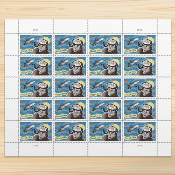 🎁[US FREE SHIPPING]100PCS-Eugenie Clark
