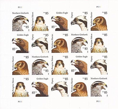 🎁[US FREE SHIPPING]Birds of Prey 2012 - 5 Sheets / 100 Pcs