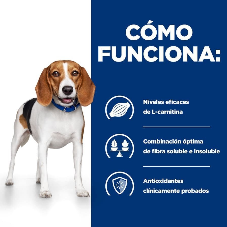 Hill's Prescription Diet Weight Loss r/d Pollo pienso para perros