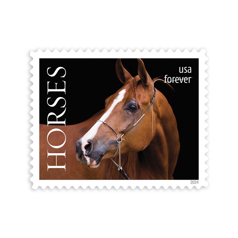 2024 Horses forever Stamps