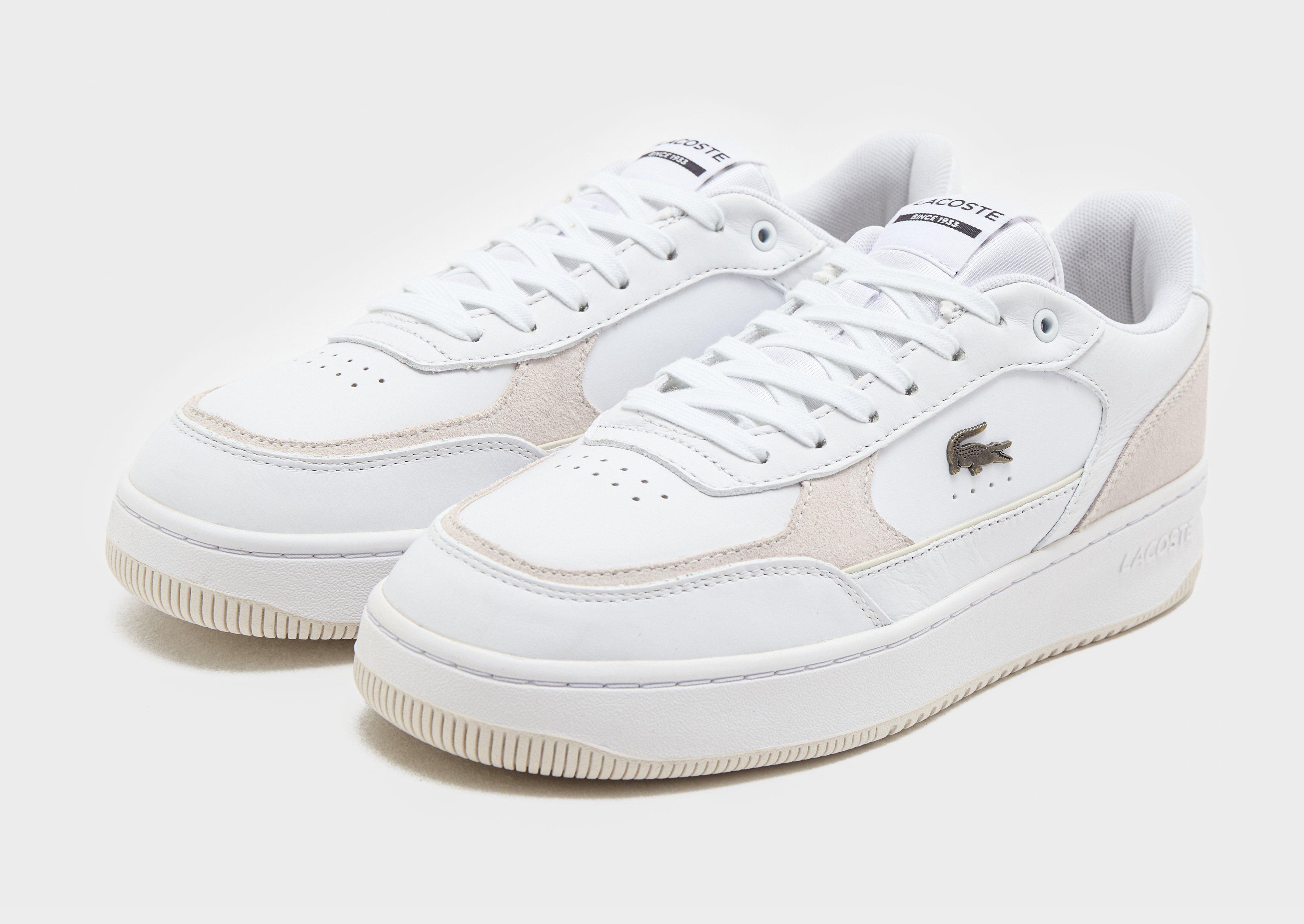 Lacoste Ace