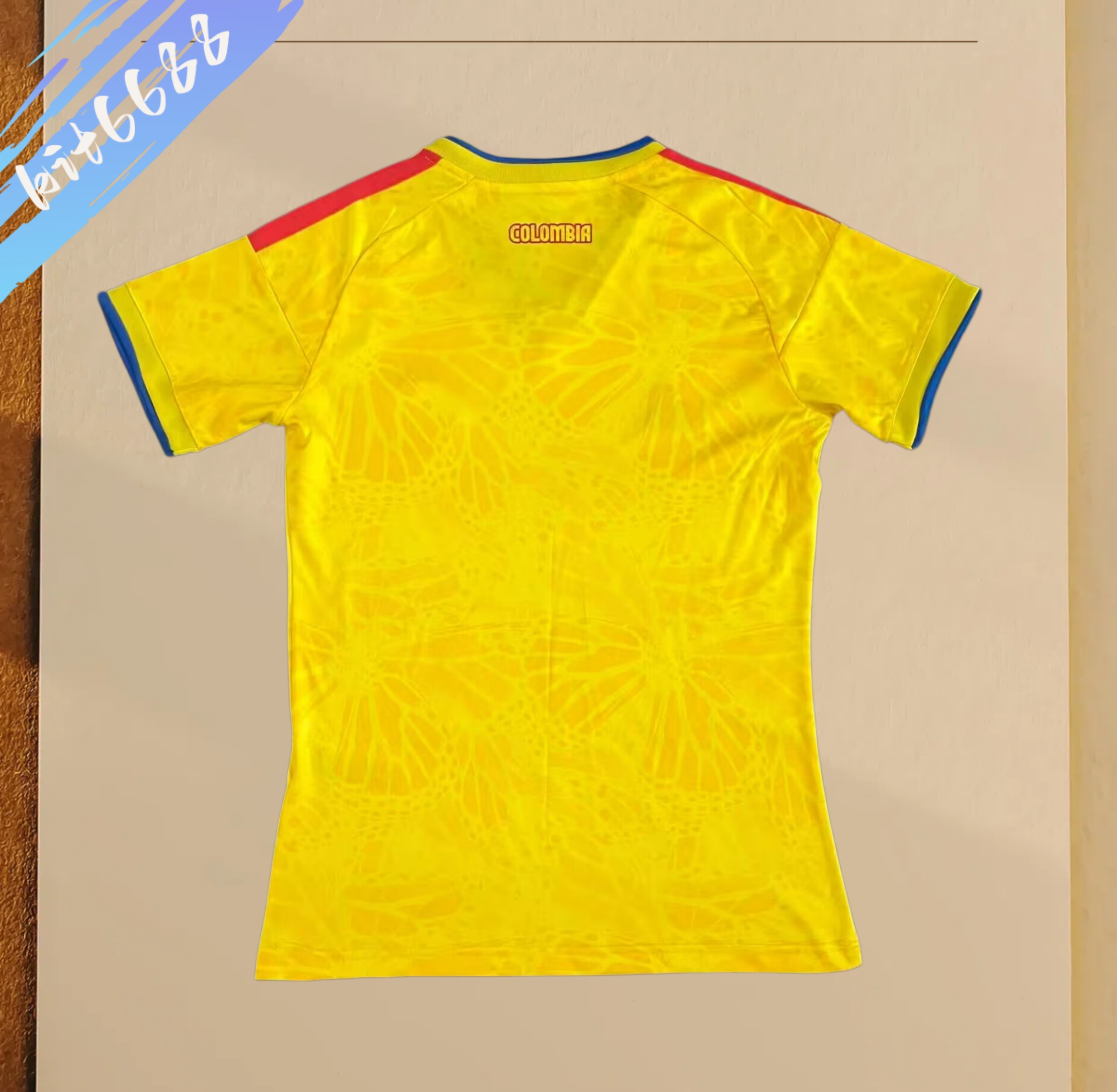 2026 Norway home football shirt (Woman)