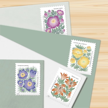 🎁[US Free Shipping]100PCS-Mountain Flora
