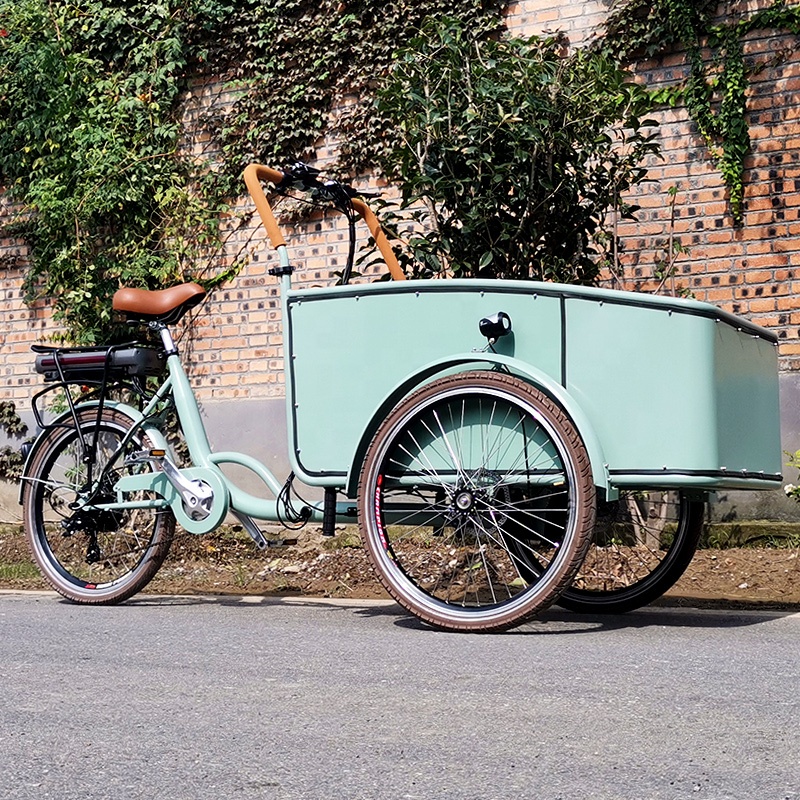 Electric tricycle SLS-0006-3