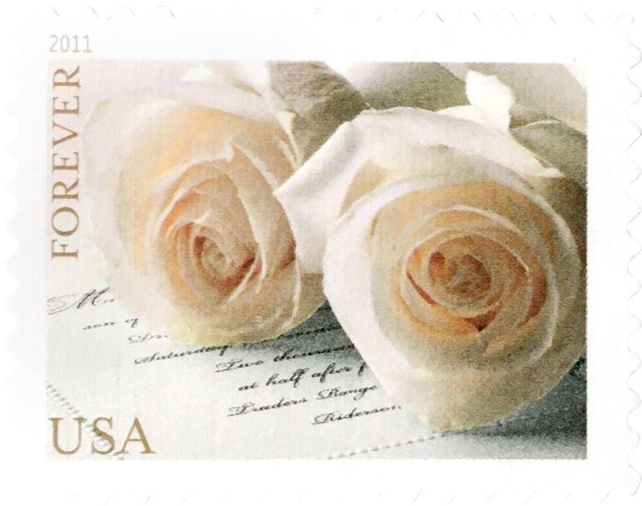 🎁[US Free Shipping]100PCS-Wedding Roses 2011