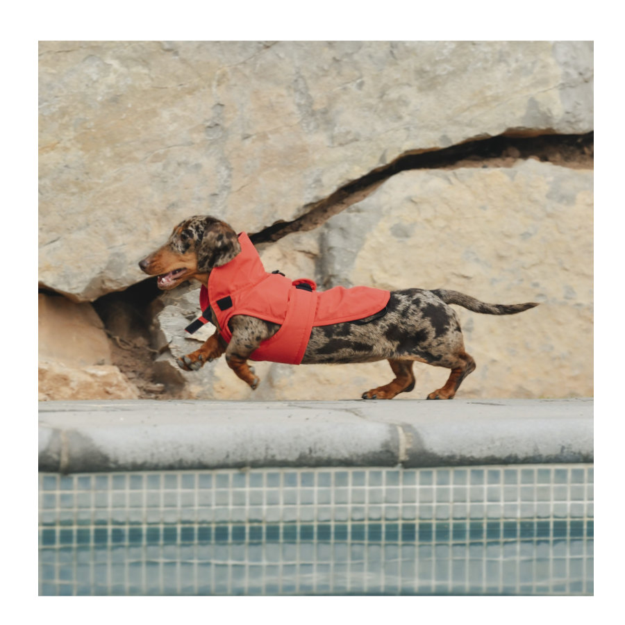Freedog Paw Shield Rojo Abrigo Impermeable para perros