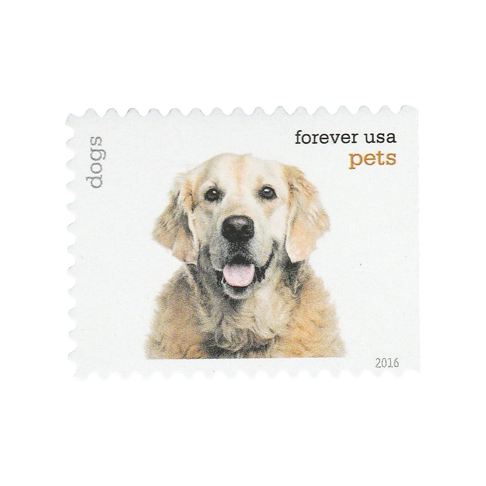 🎁[US Free Shipping]100PCS-Pets