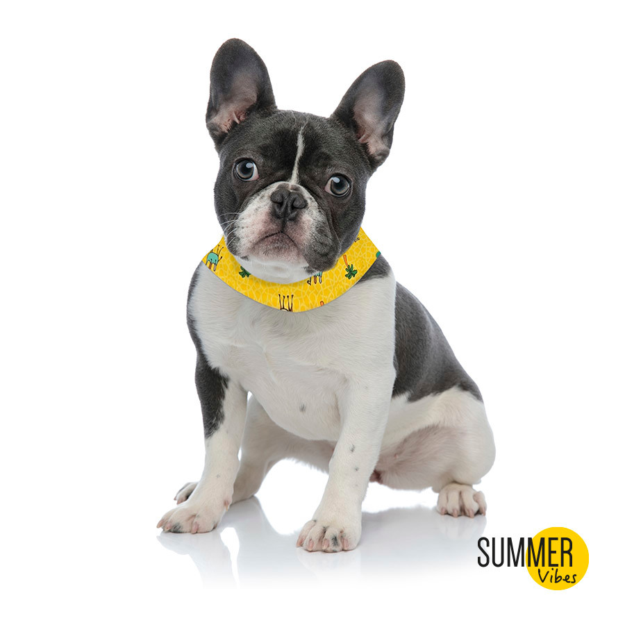 Summer Vibes Bandana refrescante para perros