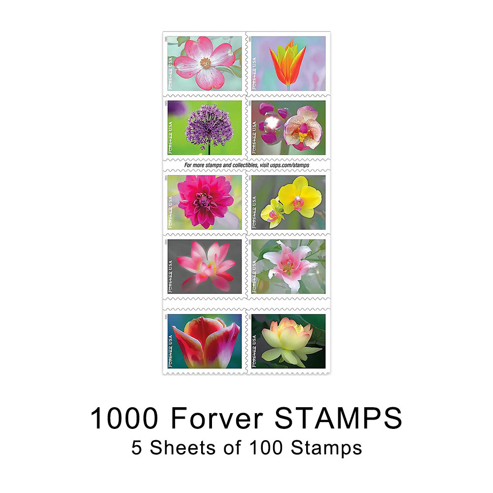 🎁[US Free Shipping]100PCS-Garden Beauty