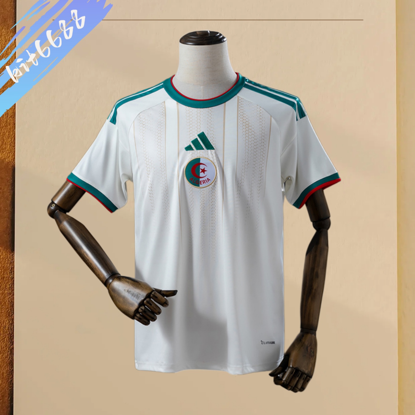 2026 Algeria Home Football Shirt (Fans Edition)