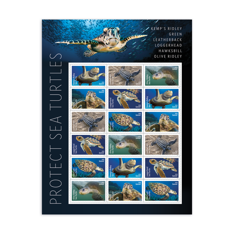 2024 Protect Sea Turtles Stamps