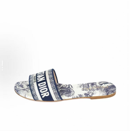 Dior Classic Dway Slide Rose Blue