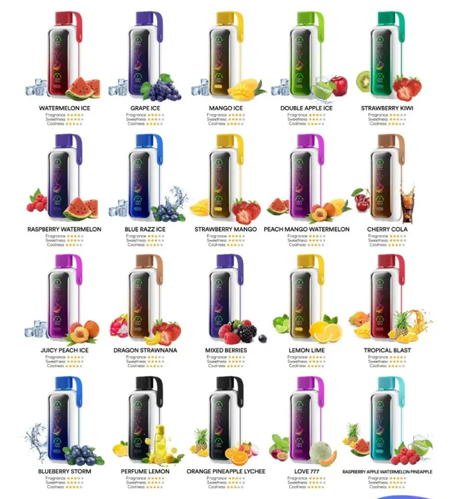 VOZOL Star 20000 Dual Power Rechargeable Vape (10 Vapes)