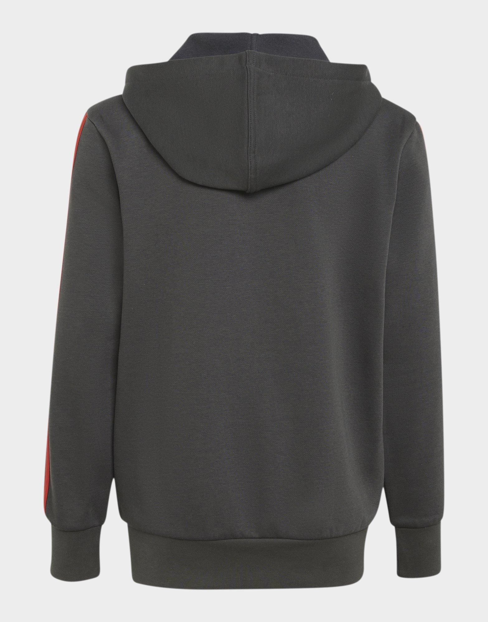 adidas Audi Revolut F1 Team Dna Full Zip Hoodie