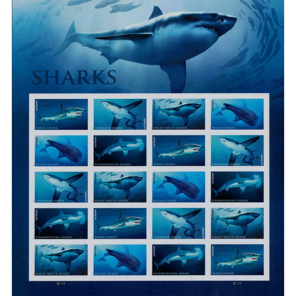 🎁[US Free Shipping]100PCS-SHARKS 2017