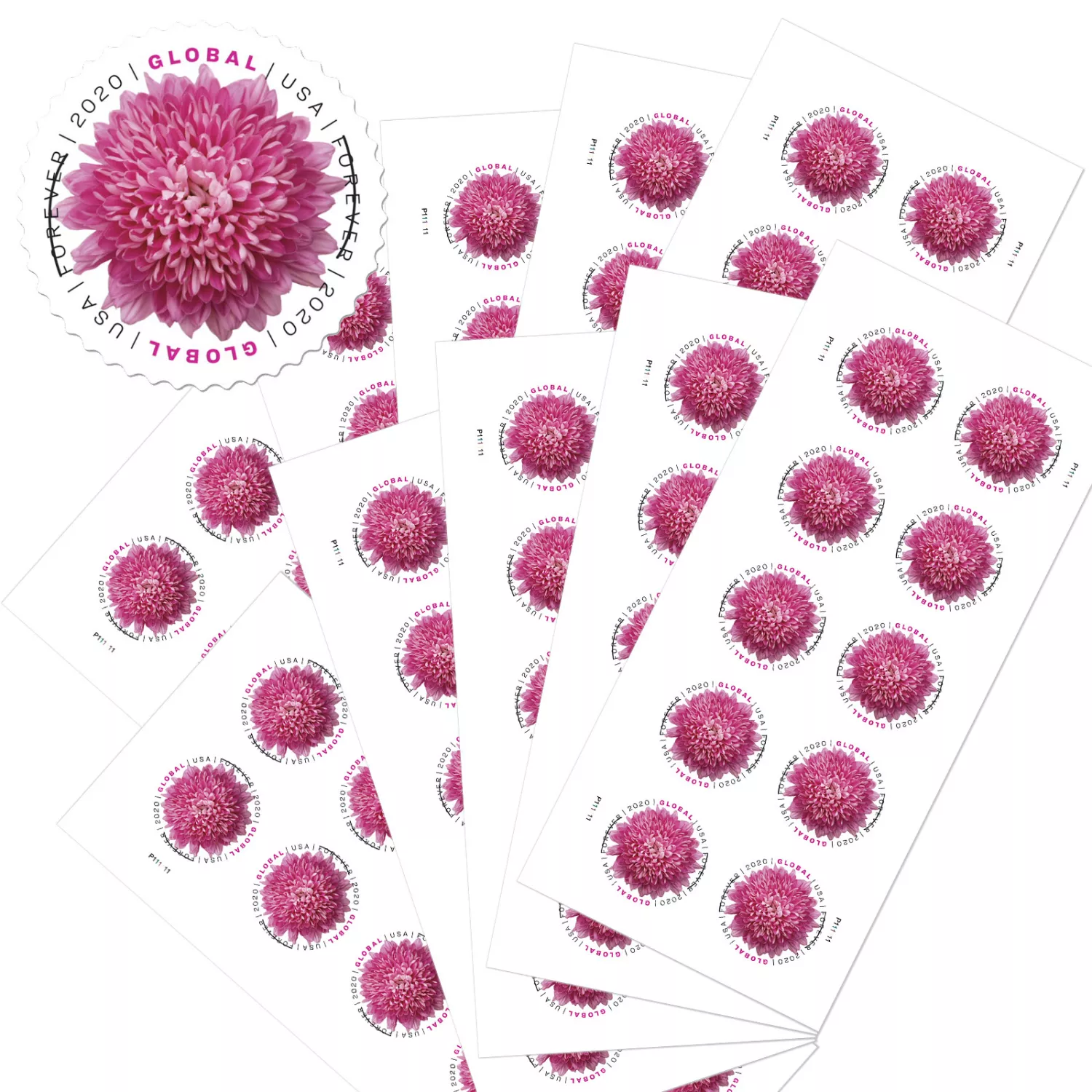 🎁[US Free Shipping]100PCS-Global: Chrysanthemum