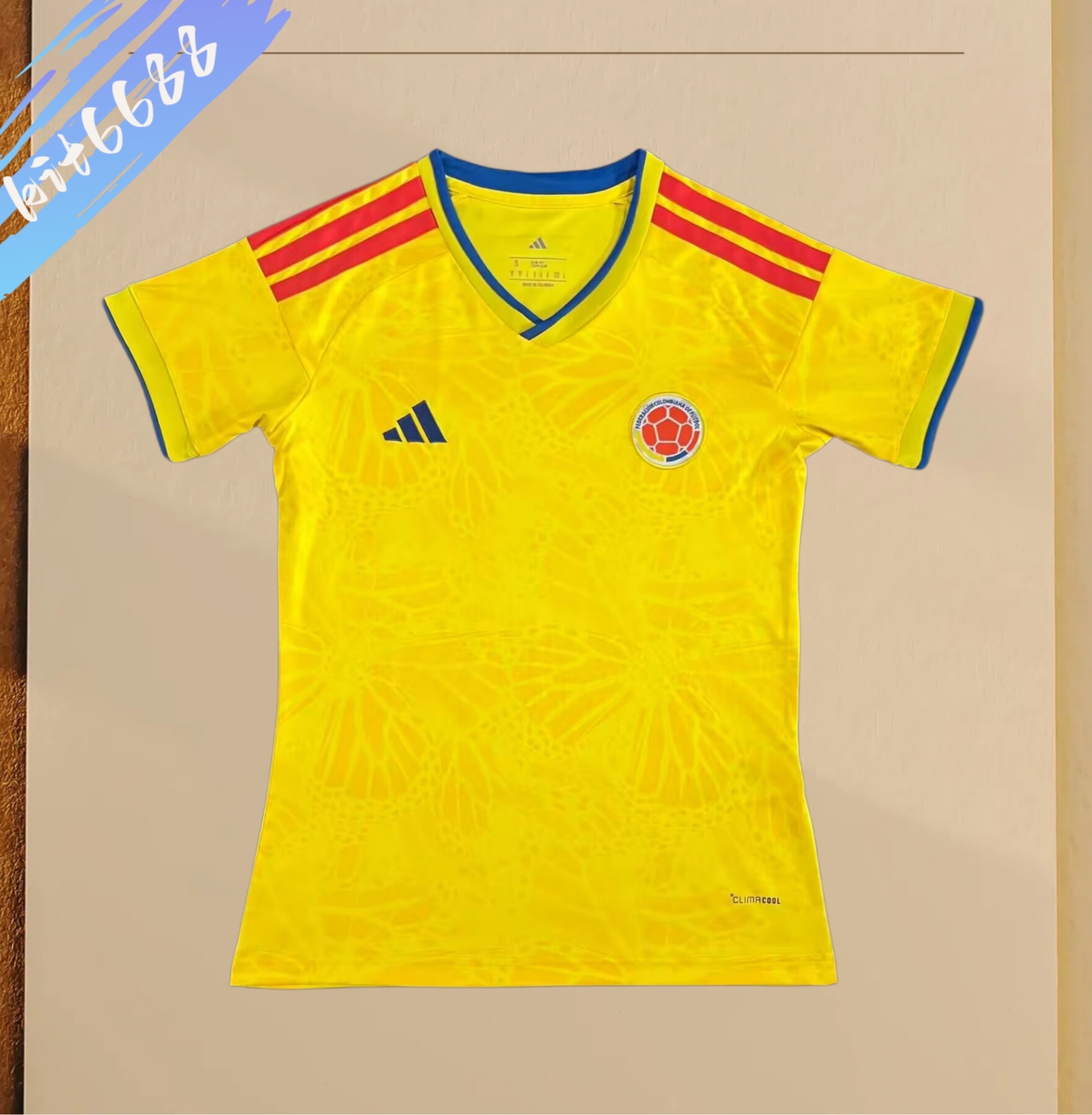 2026 Norway home football shirt (Woman)
