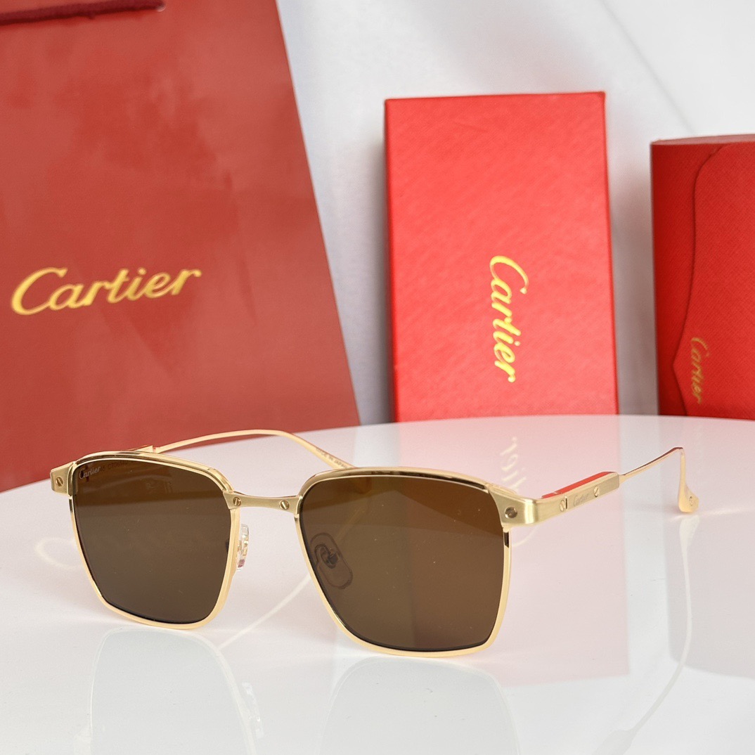Cartier CT0614O Sunglasses
