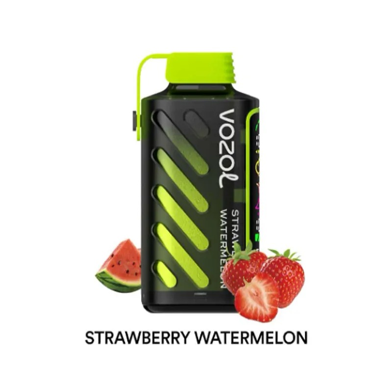 VOZOL Gear Power 20000 Rechargeable Vape (10 pieces)