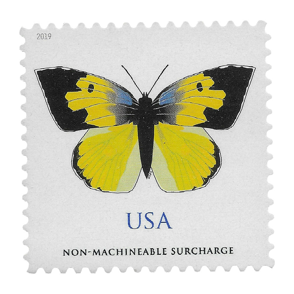 🎁[US Free Shipping]100PCS-Butterfly