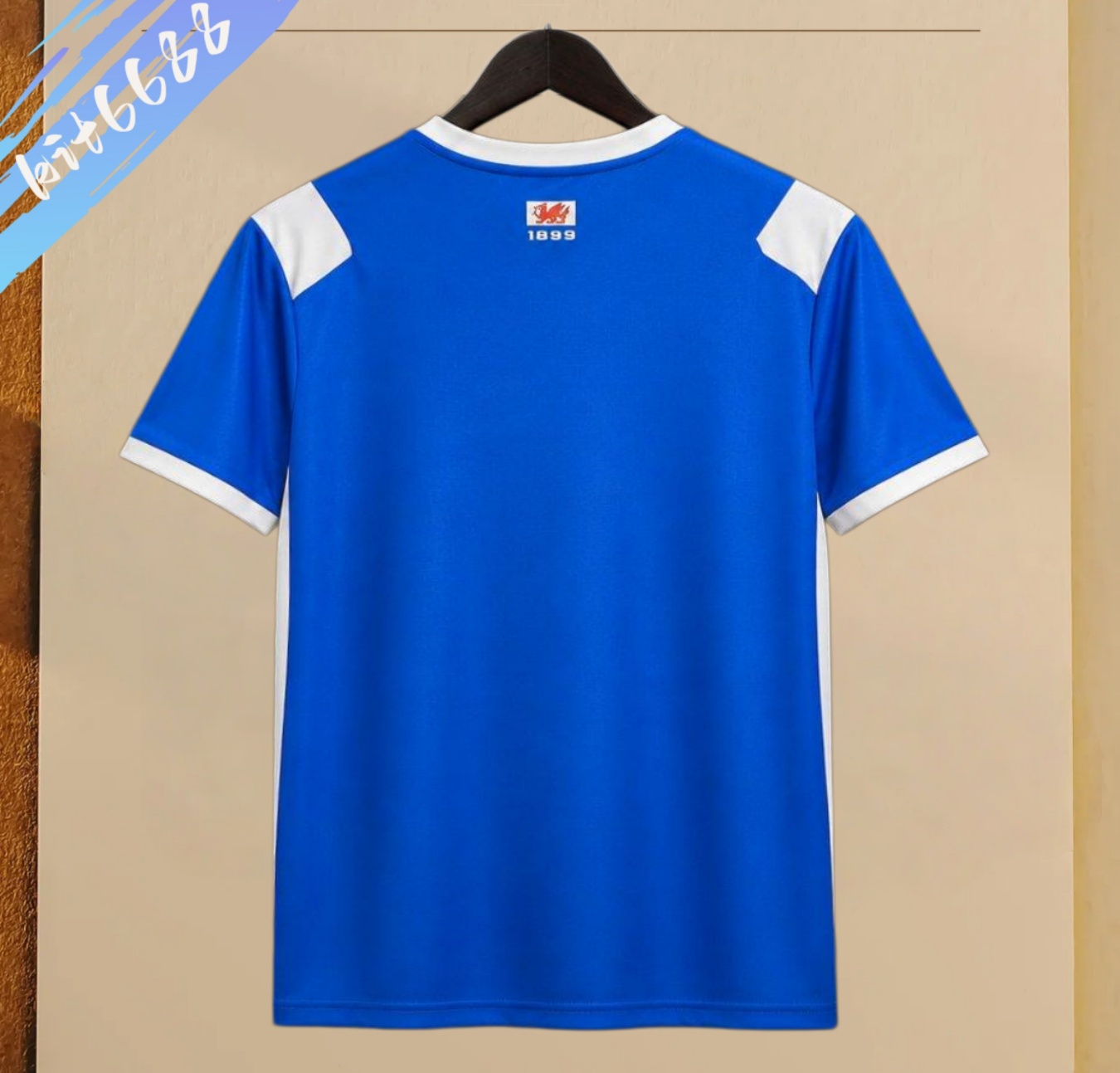 2026/2027 Cardiff City Home Football Shirt (Fan version)