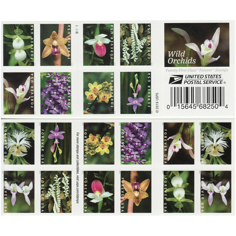 🎁[US Free Shipping]100PCS-Wild Orchid