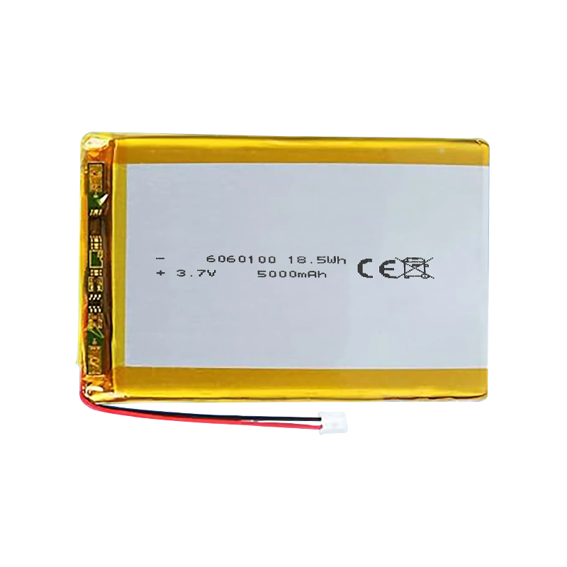 Pouch Lithium Ion Batteries 6060100 3.7v5000mAh