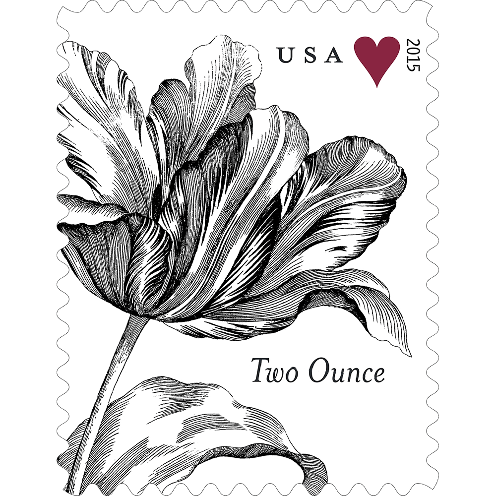 🎁[US Free Shipping]100PCS-Vintage Tulip Stamp
