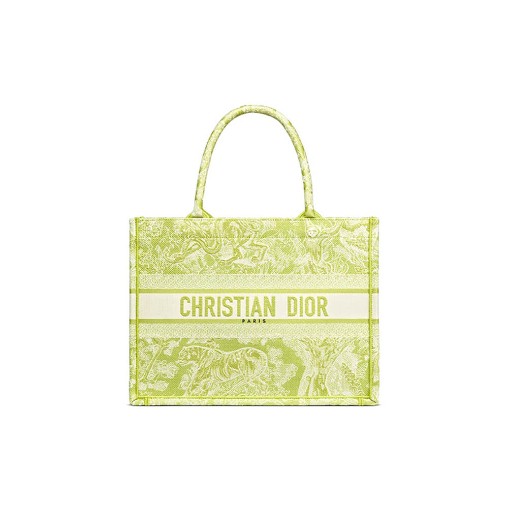 SMALL DIOR BOOK TOTE