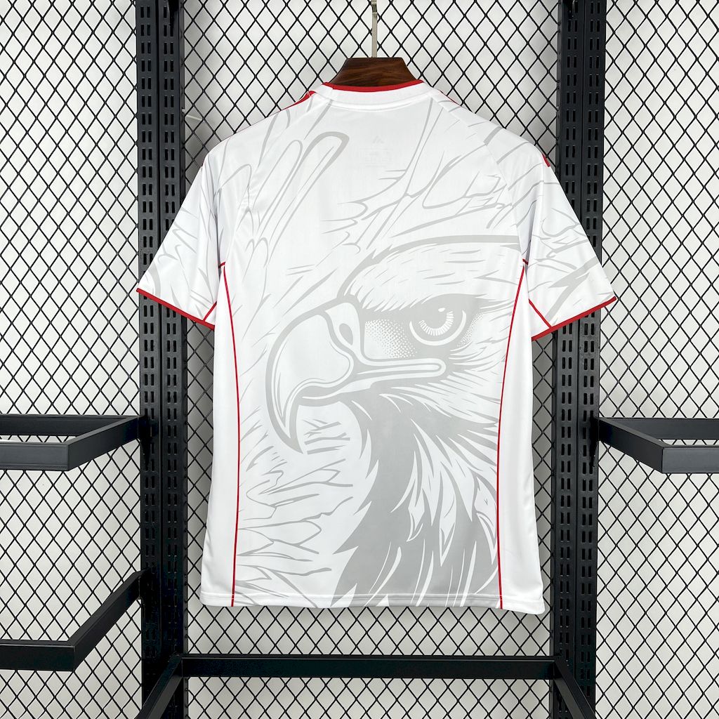 2025/2026 Benfica Football Club Special Edition Football Shirt（Fan Edition）