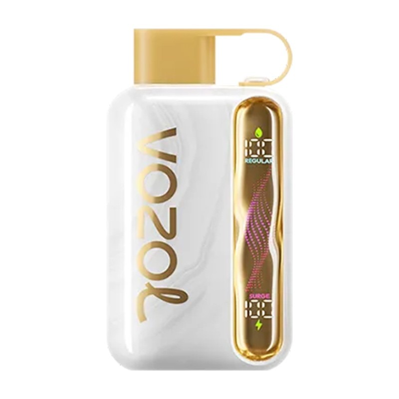 Vozol Star 40000 puffs disposable vape (10 vapes)