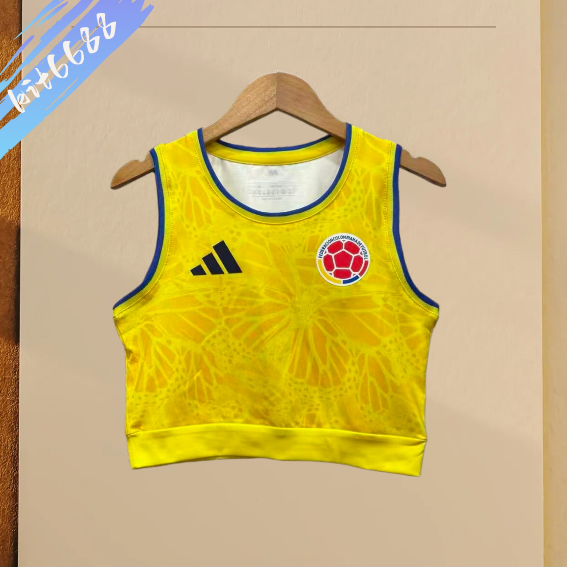2026 Norway home football shirt (Woman)