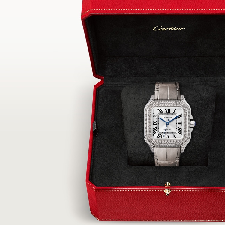 Santos de Cartier watch Medium model Sunray-effect dial 35.1 mm