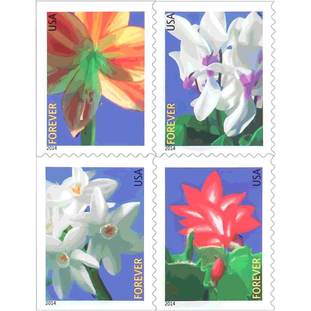 🎁[US Free Shipping]100PCS-Winter Flowers