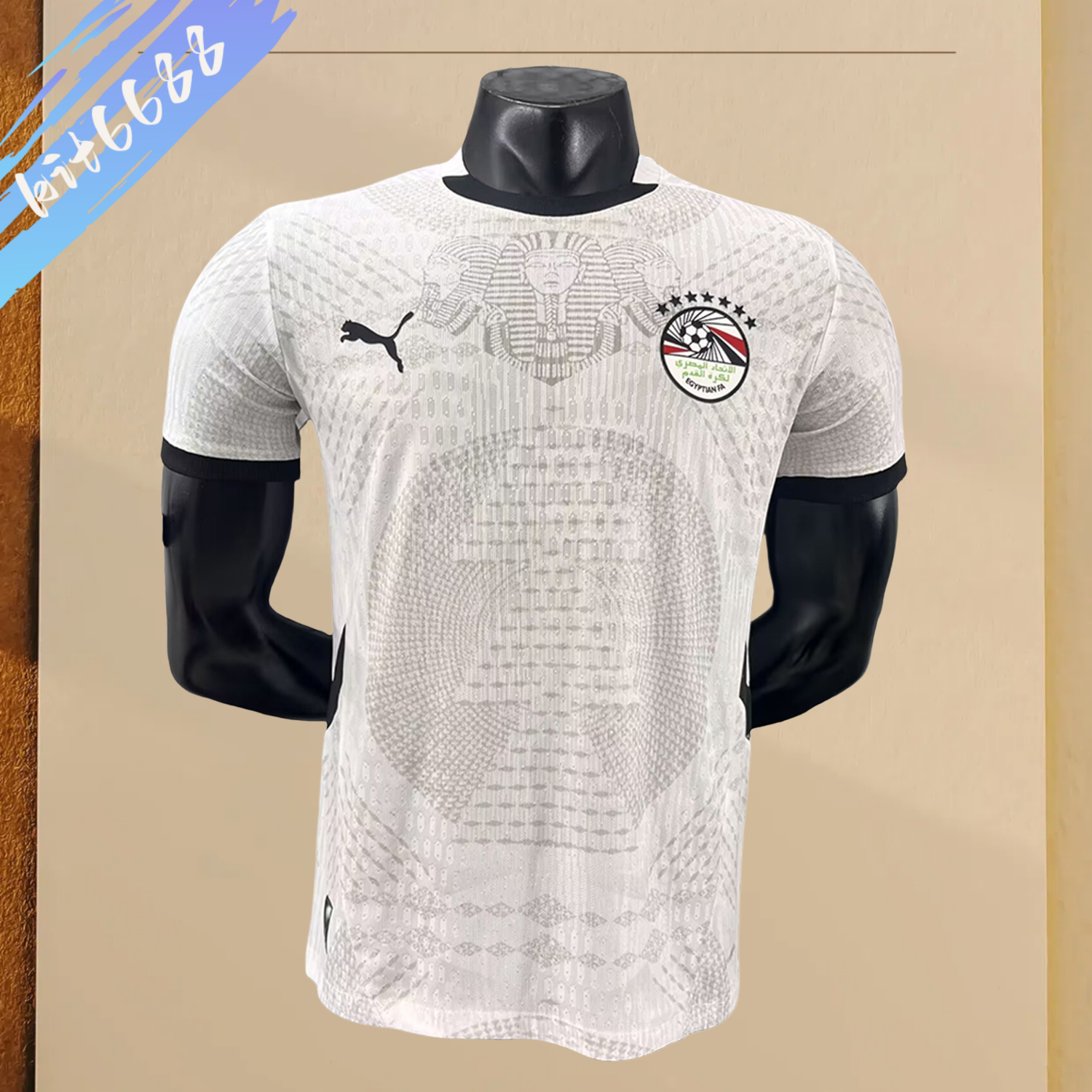 2026 Egypt away football shirt (Player Edition)